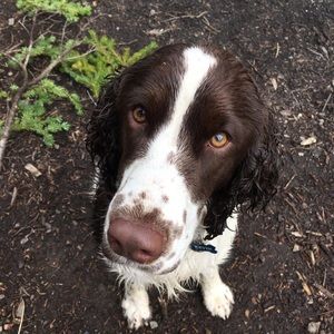 Meet your Posher, Gale